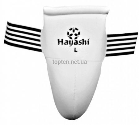   Hayashi 2